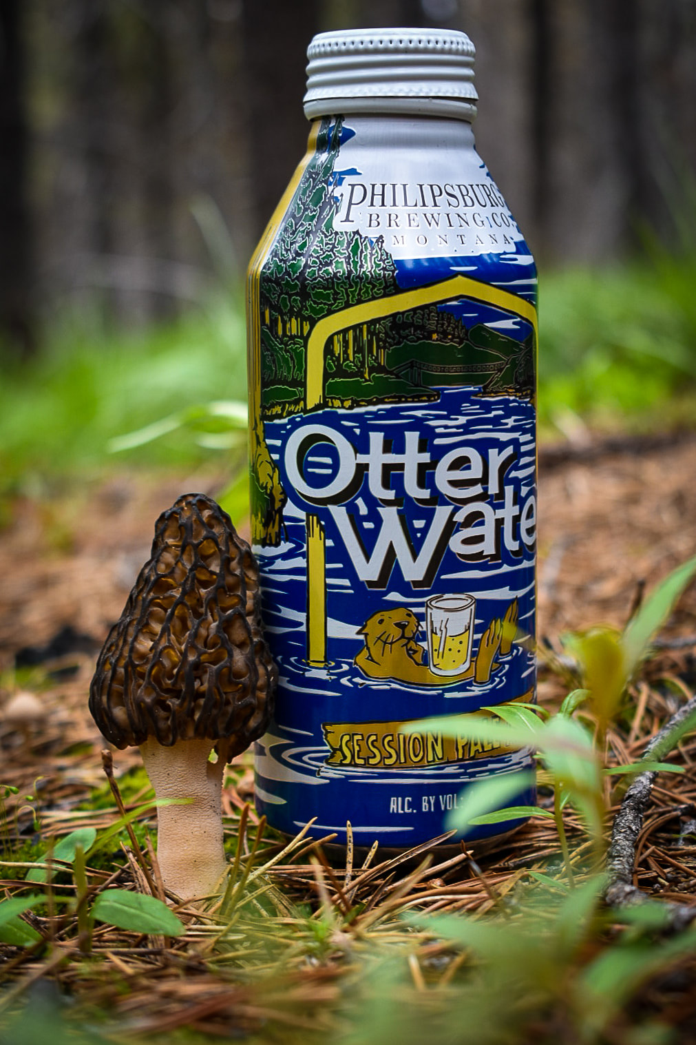 otter_water_beer_morel_mushroom